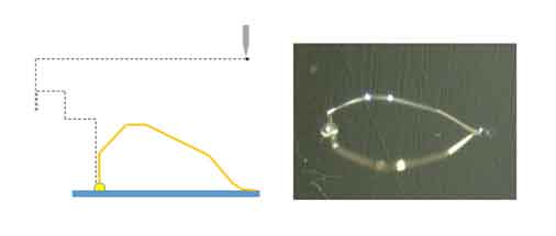 Double Reverse Loop Wire Bonding