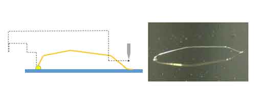 Long Loop Wire Bonding